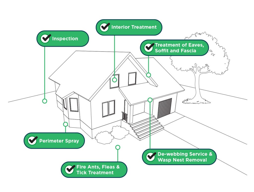 6-point free pest inspection by Greenx