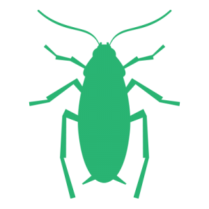 Roach pest control service in Clayton NC