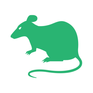 Rodent pest control service clayton nc