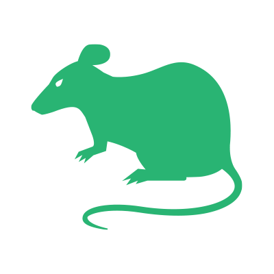 Rodent pest control service clayton nc