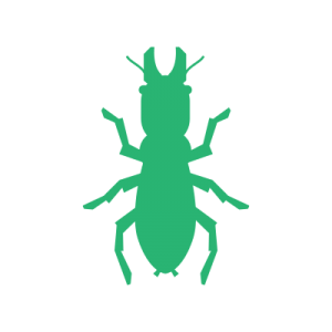 Termite inspection and treatment Clayton NC