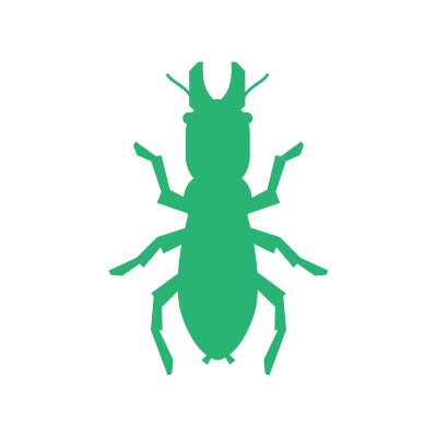 Termite inspection and treatment Clayton NC