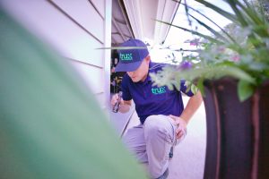 pest inspection around home