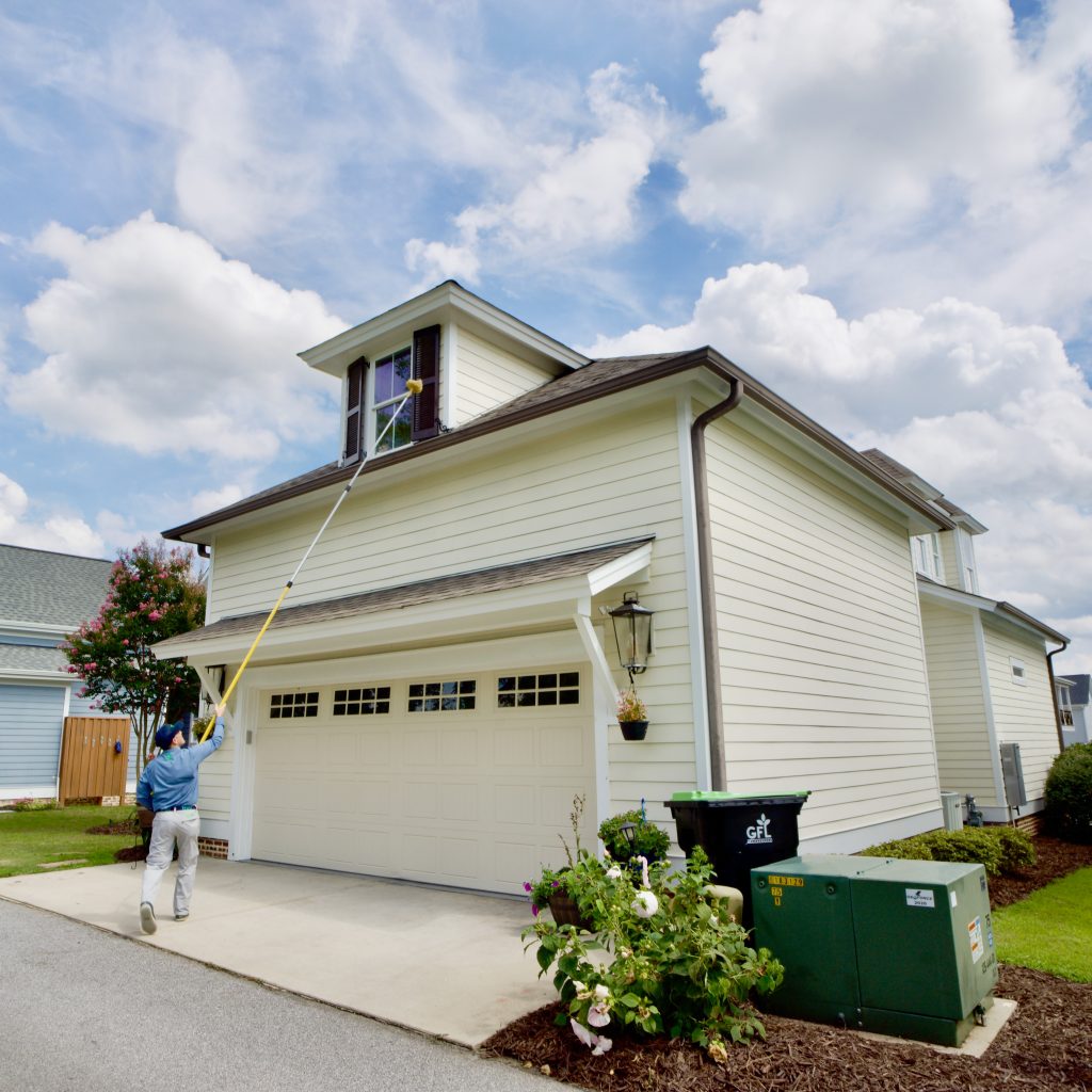 We remove spider webs too