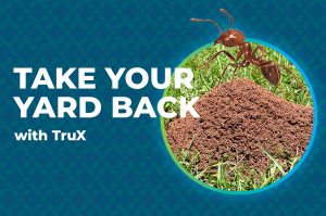 Fire ant control by Trux