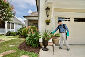 Pest control near me