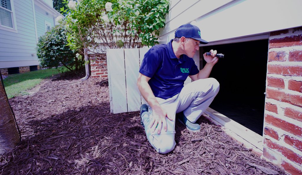Protect your raleigh home from rodents and other pests with TruX Pest Control