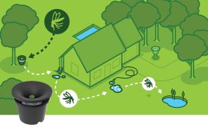 In2Care Eco-friendly Mosquito System installed by TruX in the Raleigh area