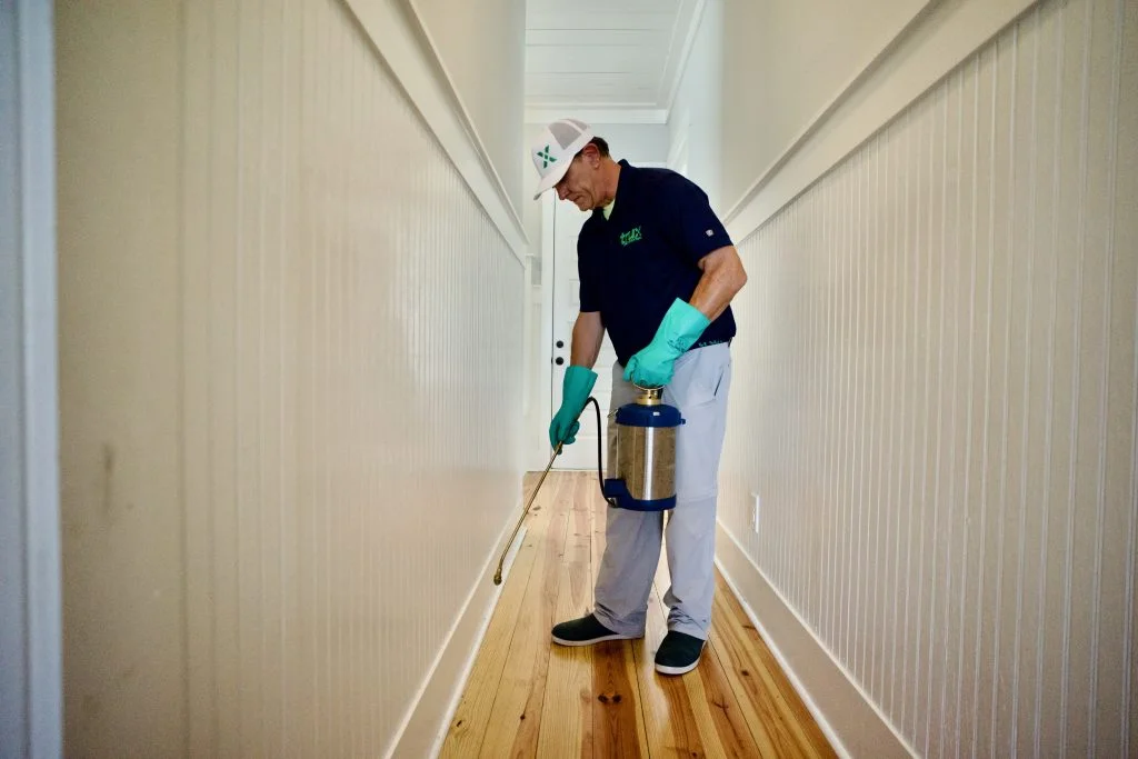 pest control service in home hallway